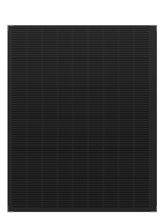 Suncake 陽光蛋糕
